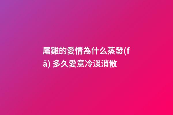 屬雞的愛情為什么蒸發(fā) 多久愛意冷淡消散